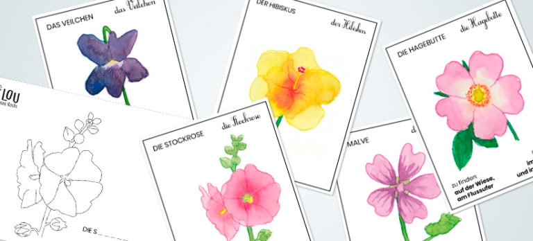 Die Namen der Blumen – Teil 4 - Kilou, der kleine Koala